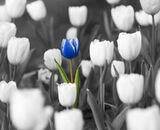 Foto utilizatorului MariaMu