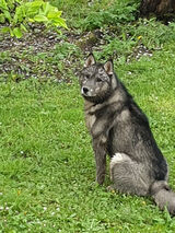 Foto pengguna Lucyfer49