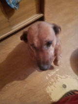 Foto pengguna mariuszek2120