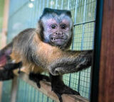 Фото користувача Kolorowemrowki