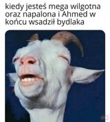 Foto pengguna robertoelescobarxd