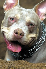 Zdjęcie użytkownika MateuszB1234