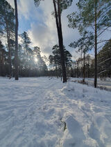 Foto pengguna anwie92