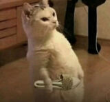 Foto pengguna iRaffauu