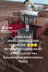 Фотография пользователя Krysia30