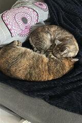 Фотография пользователя dawidekk98