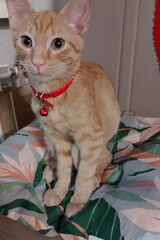 Foto pengguna Przemko198612345