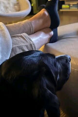 Фото користувача Diegomore