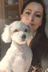 Zdjęcie użytkownika allelee4