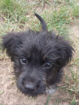 Zdjęcie użytkownika PatrykWh