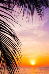 Foto pengguna Kadabra