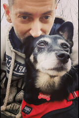 Фотография пользователя SaltoDoZlewu