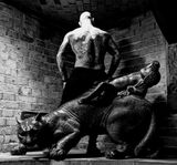 Фотография пользователя kingkong2012