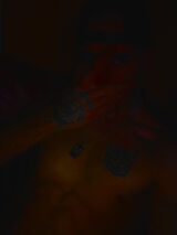 Fotos maciektrepka30