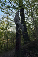 Zdjęcie użytkownika ayrek