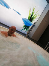 Benutzerfoto Marcin123456