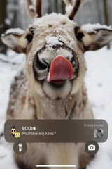 Zdjęcie użytkownika Dobrakochanka04