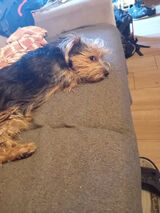 Foto pengguna pawelm41