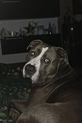 Photos Katarzyna0003