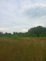 Photos ciekawymisiaczek