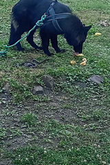 Фотография пользователя siwy1995