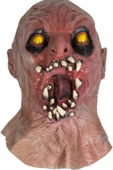 Zdjęcie użytkownika Qutasik