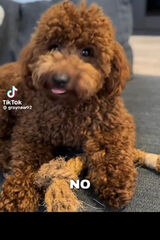 Фотография пользователя Wojcieszak