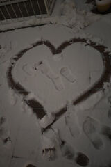 Фотография пользователя Roza39