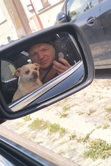 Foto utilizatorului kuzikiki