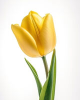 Foto pengguna maciejskonieczny5