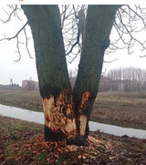 Zdjęcie użytkownika Monikablondi86