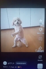 Фото користувача robertkimpinski5