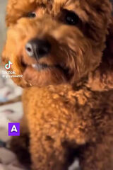 Zdjęcie użytkownika Wojcieszak