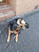 Foto utilizatorului daniel41111