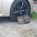 Фото користувача marcinjakubek1984