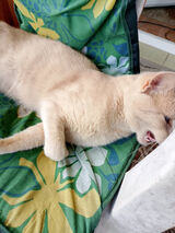 Фото користувача jaceksetlak843