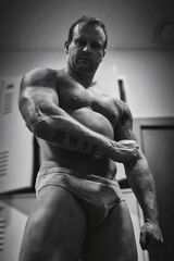 Benutzerfoto KrisVanDerBorker