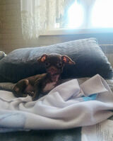 Фото користувача imiezapomnialem