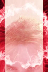 Zdjęcie użytkownika Kiu2000