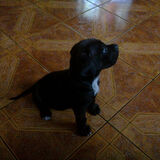 Foto utilizatorului niewinskitomasz2