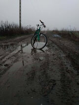 Zdjęcie użytkownika marcojarek