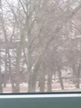 Фото користувача Dddariu98