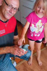 Zdjęcie użytkownika strzalkowskikrzy46