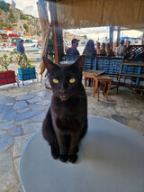 Фотография пользователя Ramirez1