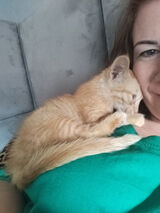 Фото користувача pauka