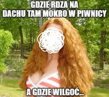 Zdjęcie użytkownika tomdaro52