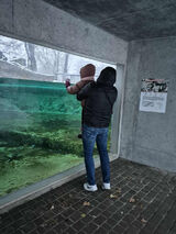 Фотография пользователя Husarz7