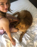 Фотография пользователя doplemion2011