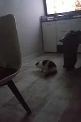 Фото користувача burakowski261