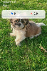 Zdjęcie użytkownika Barbara1955